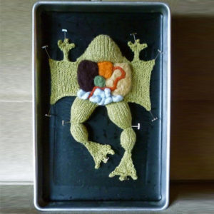 Biology Frog Knitting Kit