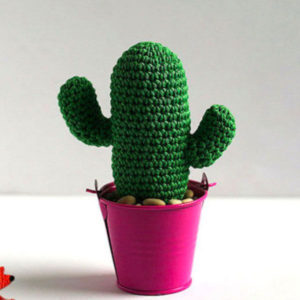 Cactus Crochet Kit