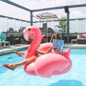 Flamingo Float