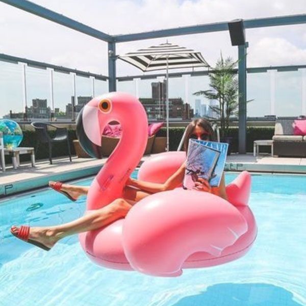 Flamingo Float