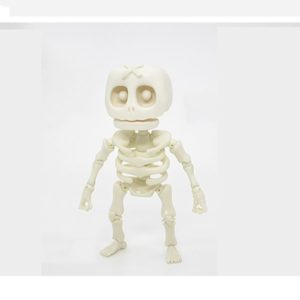 Skeleton Model 3D Puzzle