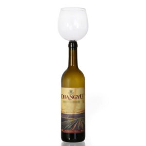 Wine Bottle Glass