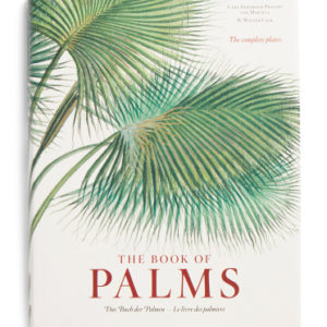Von Martius The Book Of Palms